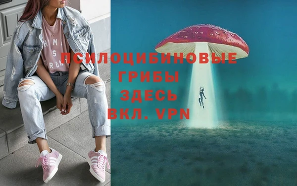 MDMA Premium VHQ Алзамай