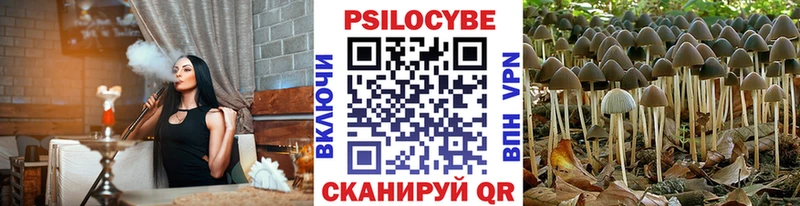 Галлюциногенные грибы мухоморы  хочу наркоту  Опочка 